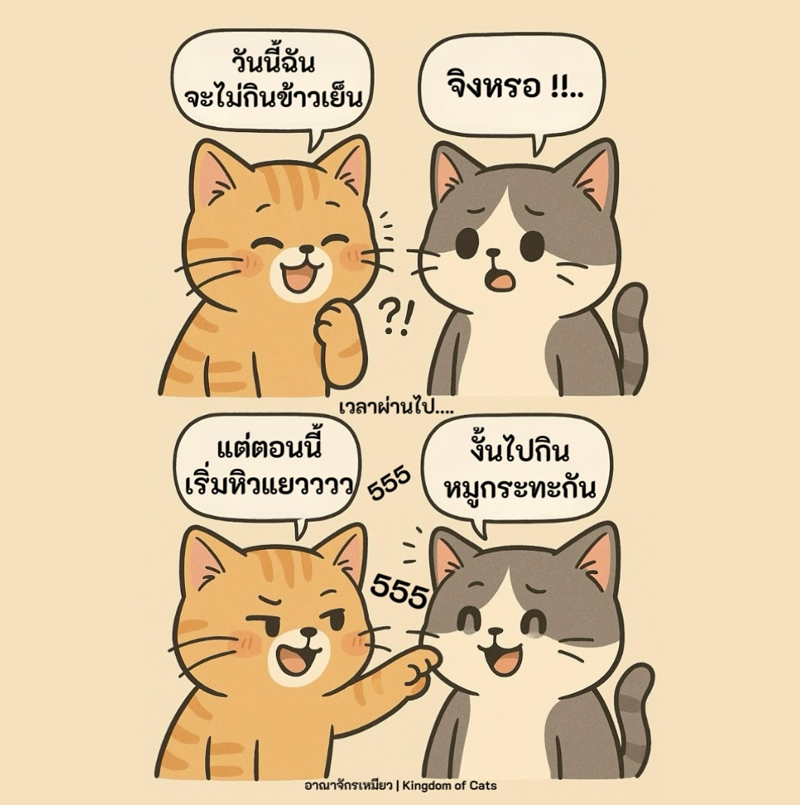 โพสต์จาก อาณาจักรเหมียว | Kingdom of Cats