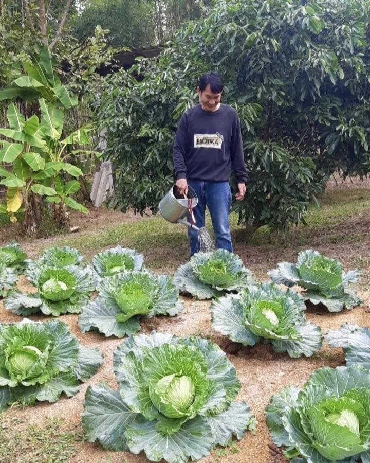 โพสต์จาก สวนคุณพ่อวีระ