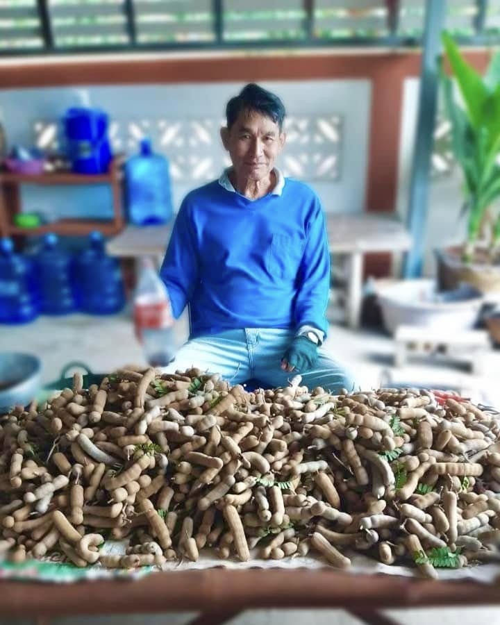 โพสต์จาก สวนคุณพ่อวีระ
